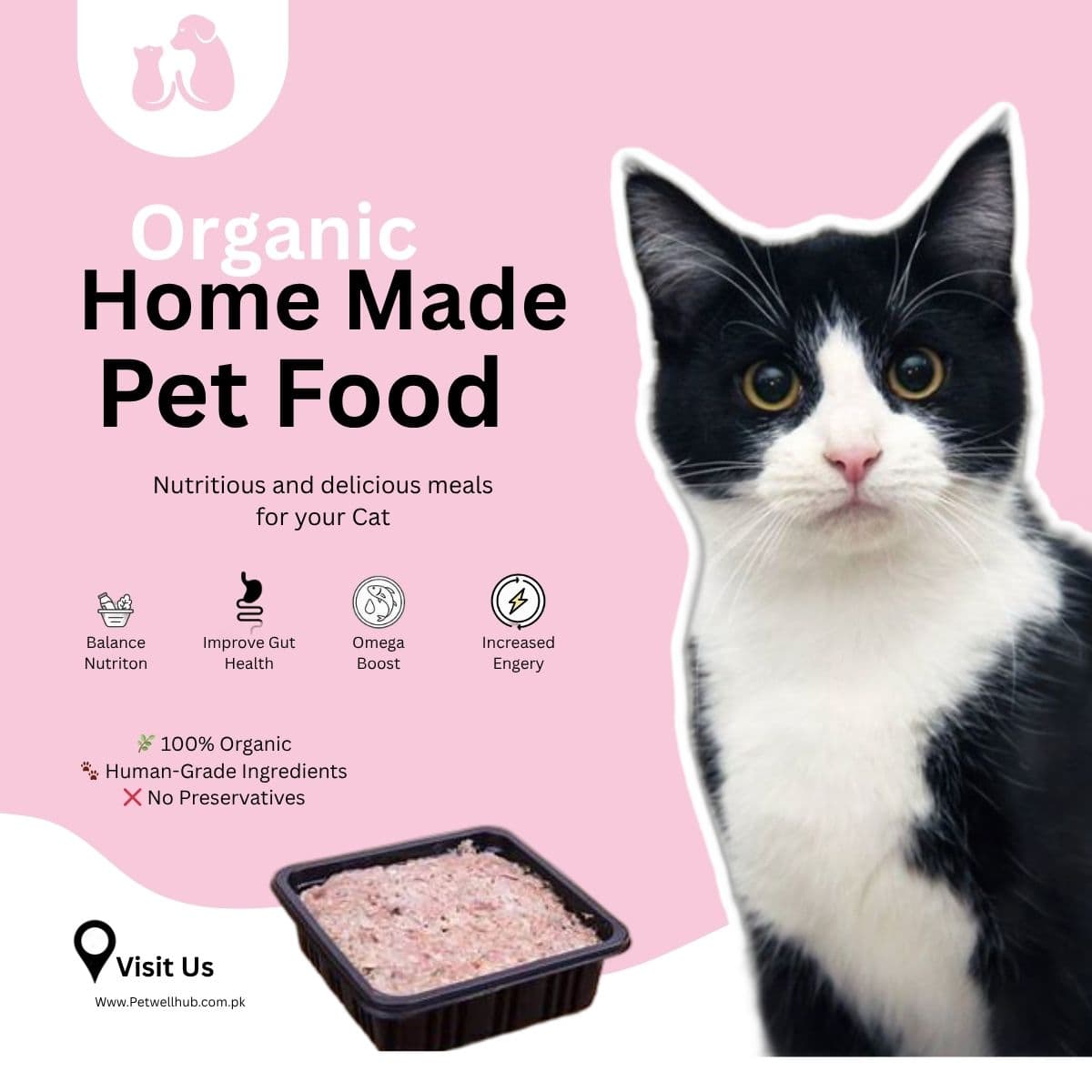 Premium Organic Home Made Cat Food - 100g